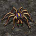 spider_in_cave.png