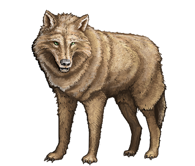 wolf-red.png