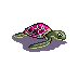 Baby_Sea_Turtle.png