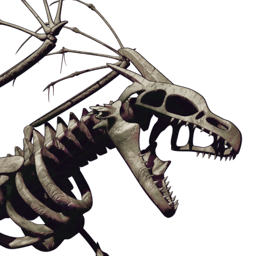 Skeleton Dragon56.png