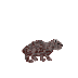 Wombat.png