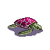 Sea_Turtle.png