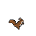 Squirrel2.png